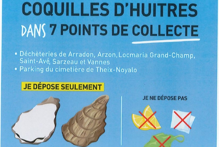 Collecte de coquilles d’huitres